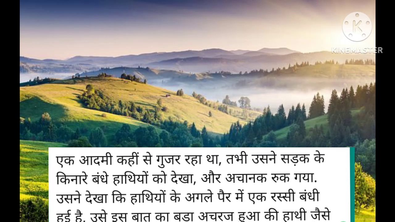 आप हाथी नहीं इंसान हैं l lessonable story l hindi kahaniyan