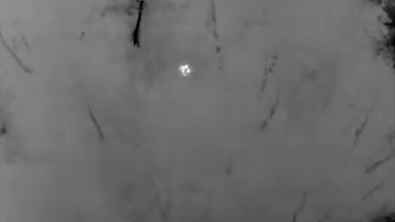 Missing two-year-old located in woods after officers deploy drone with thermal camera