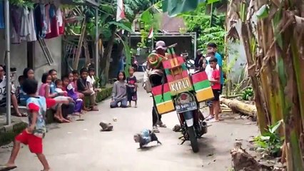 funny monkey atraction  II topeng  monyet