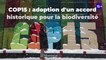 COP15 : adoption d'un accord historique pour la biodiversité
