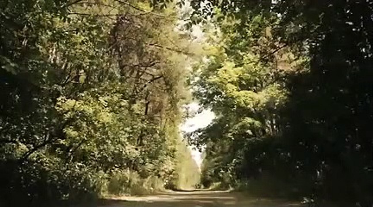 Gangland Undercover - Se2 - Ep08 - The Devils Patch HD Watch HD Deutsch