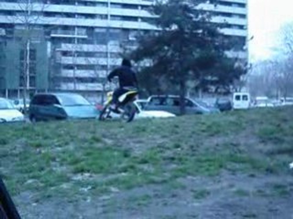 Duj (5)