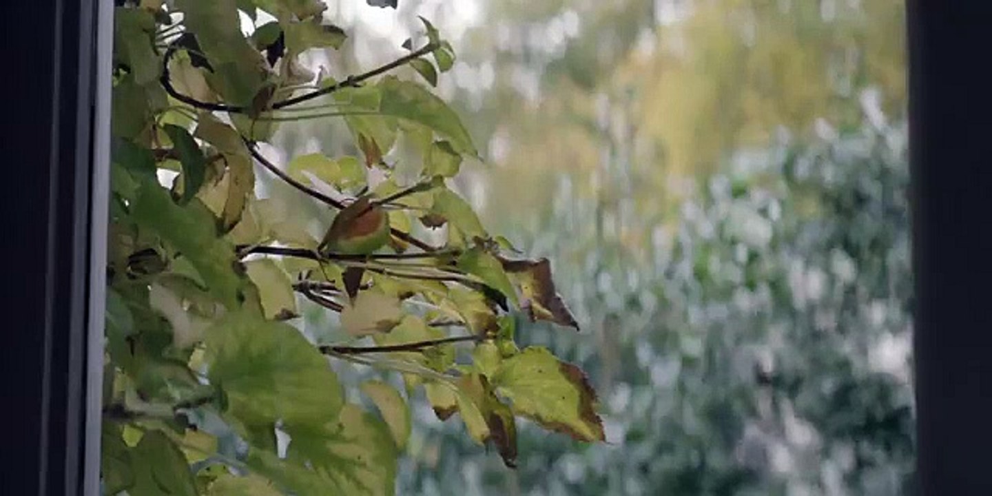 Guerrilla - Se1 - Ep06 HD Watch HD Deutsch