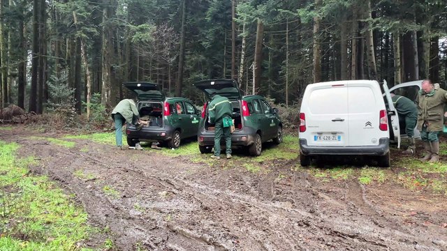 L'entretien des forêts ligériennes en hiver