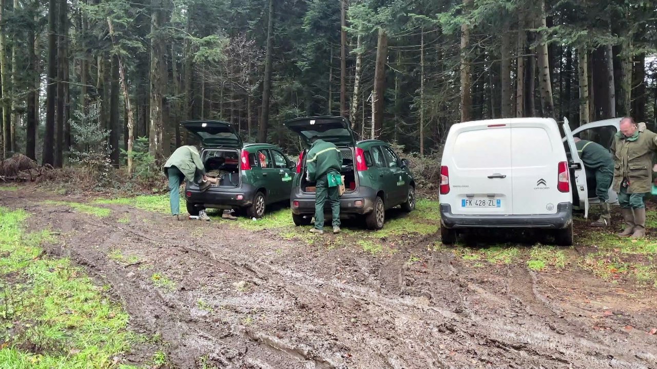 L'entretien des forêts ligériennes en hiver