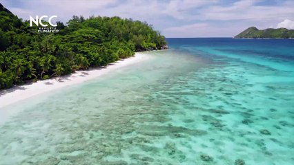 Reporte Climático 73 | ¿Cómo salvar nuestra biodiversidad?