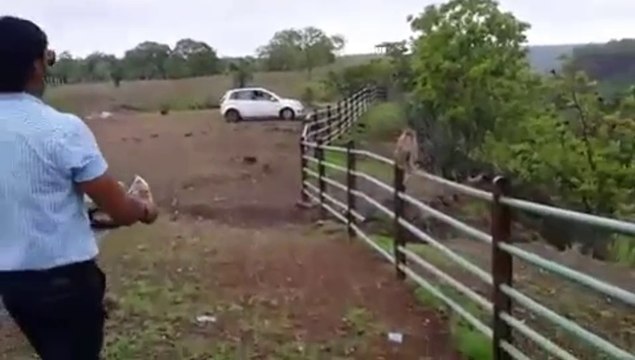 गारंटी है इसे देखने के बाद आप हंसी नहीं रोक पाओगे अपनी