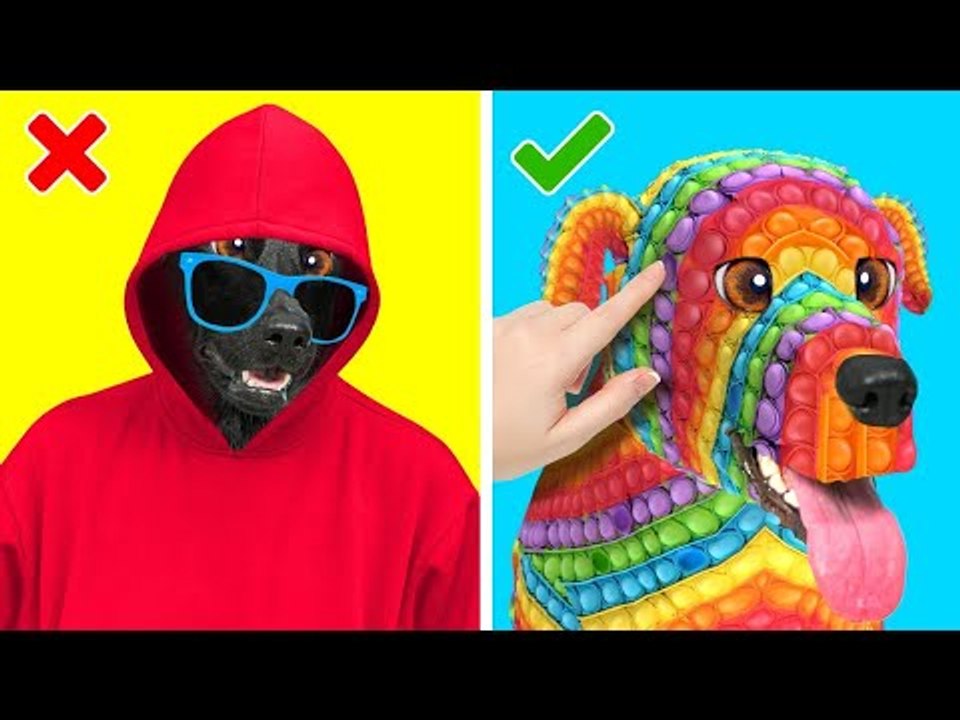 Introduire de la NOURRITURE et des ANIMAUX - Si ton chien était une personne | Humour par La La L'R