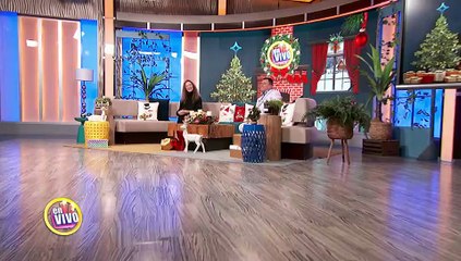 Lupillo Rivera Lamenta Los Errores Durante Su Homenaje A Jenni