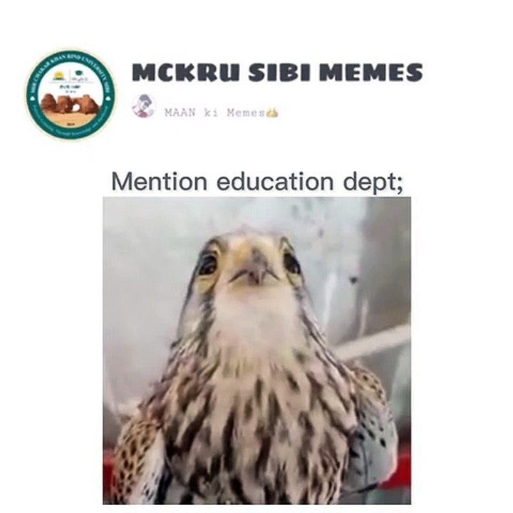 Funny Student status