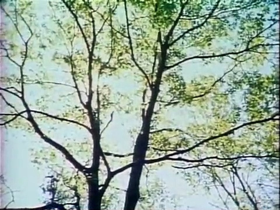 In Search of... - Se1 - Ep02 HD Watch HD Deutsch