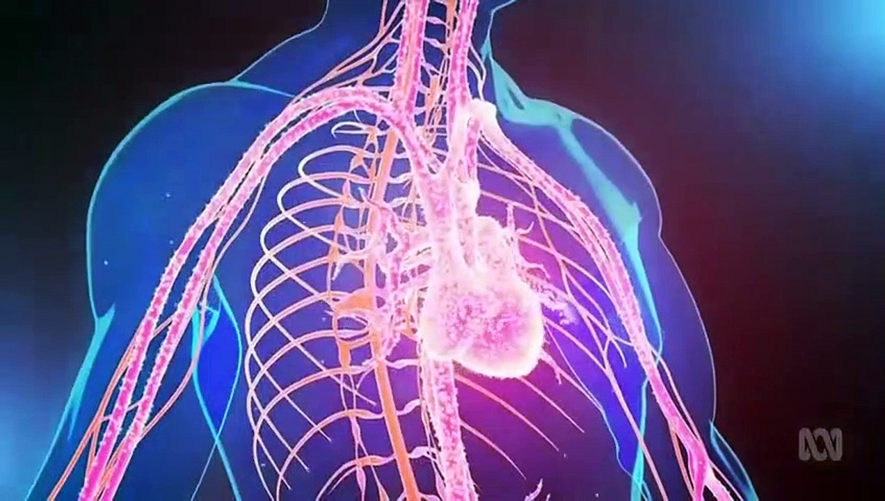 Ask the Doctor - Se1 - Ep07 HD Watch HD Deutsch