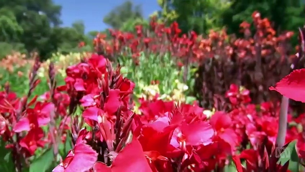 Ask the Doctor - Se1 - Ep11 HD Watch HD Deutsch