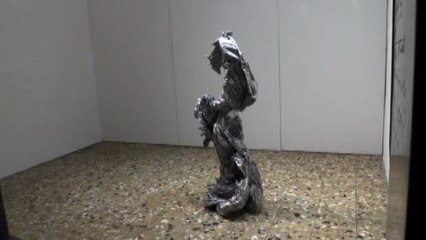 Scultura nata dalla Natura: il Momentum, di Fabio Roncato a Lodi