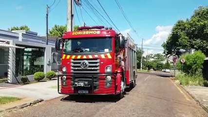 Após serem salvos pelos Bombeiros, gatinhos estão para adoção
