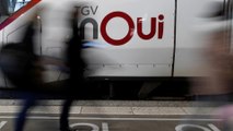 Grève à la SNCF : 2 trains sur 3 prévus en moyenne le week-end de Noël