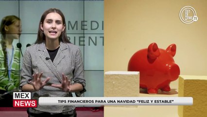 TIPS FINANCIEROS PARA UNA NAVIDAD "FELIZ Y ESTABLE"