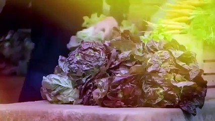 Scraps - Se1 - Ep06 - Denver, CO HD Watch HD Deutsch