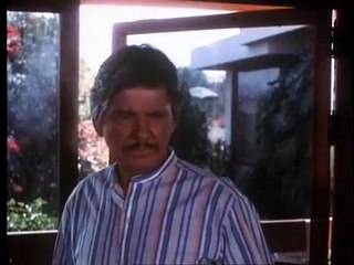 L'enfer de la violence Bande-annonce (EN)