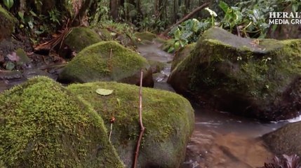 No compres esto en Navidad