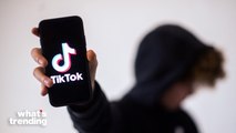 Behind TikToks Record Breaking Growth