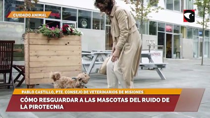 Cómo resguardar a las mascotas del ruido de la pirotecnia