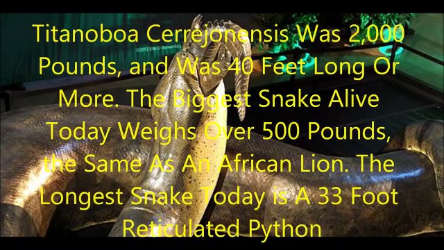 Animal Fight Club Season 1 Episode 11 Titanoboa Cerrejonensis Vs Deinosuchus Rugosus