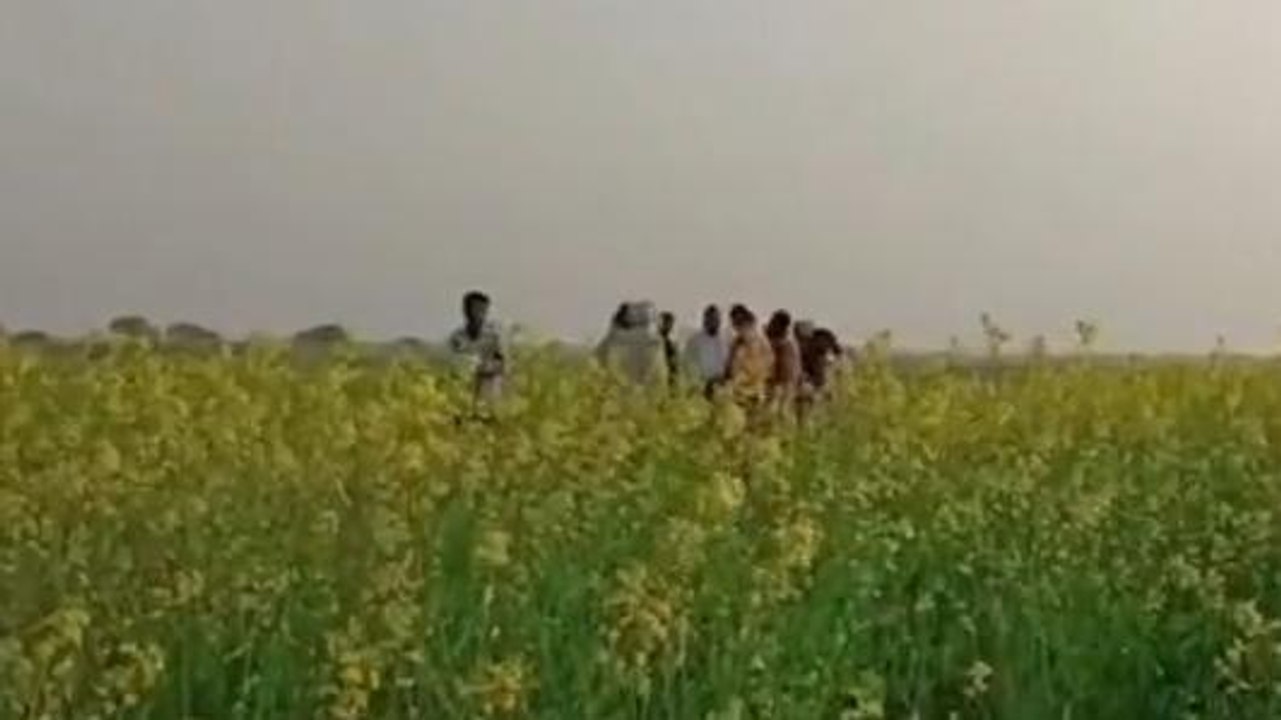 शिवपुरी : खेत में खड़ी फसल अचानक हुई चोरी,पुलिस महकमा तलाशने में जुटा
