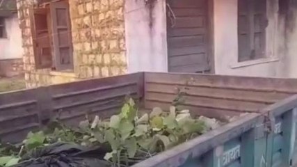 डरावना हादसा: जंगलों में मिला महिला का कंकाल तो क्षेत्र में फैली सनसनी