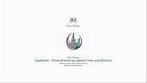 Spektrem - Shine (Remix by Gabriel Drew and Bloom) (No Copyright Sound)