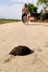 Viral Zilli Funny Video//  Comedy Shorts Video// New Comedy Video 2023