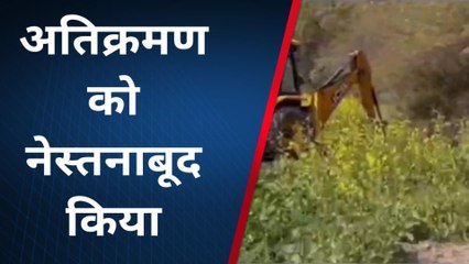 बारां: 'पीले सोने' पर चला पीला पंजा,Video देखिए