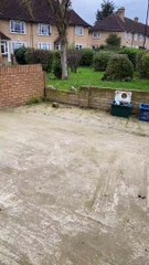 Squirrel ️ came to our front door for food 