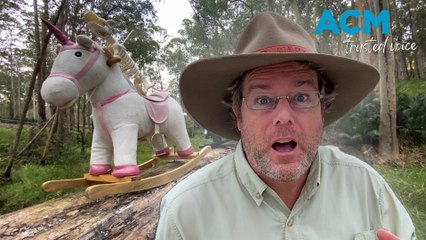 Tim the Yowie Man investigates the mysterious arrival of the Clyde Mountain rocking horses
