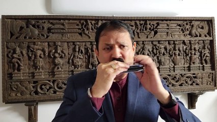 Aaha rim jhim ke ye pyare pyare-Film Usne kaha tha1960-Vintage Song on Harmonica Live Performance by Mukund Kamdar-1