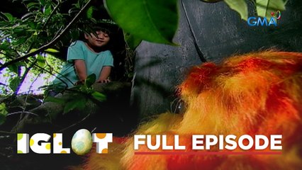 Iglot: Full Episode 7 (Stream Together)
