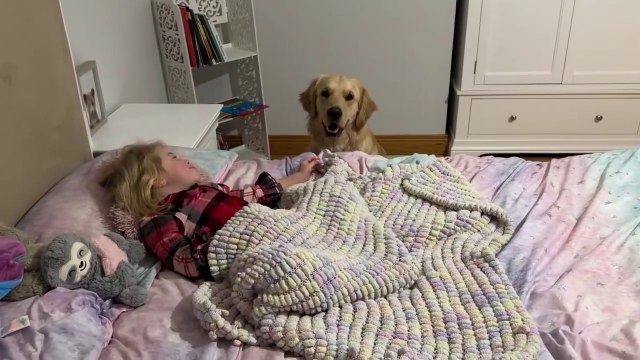 Adorable Baby Girl Takes Her Golden Retriever Puppy To Bed Every Night! He's Her Protector!!