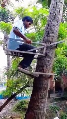 La manera mas ingeniosa para subir un árbol