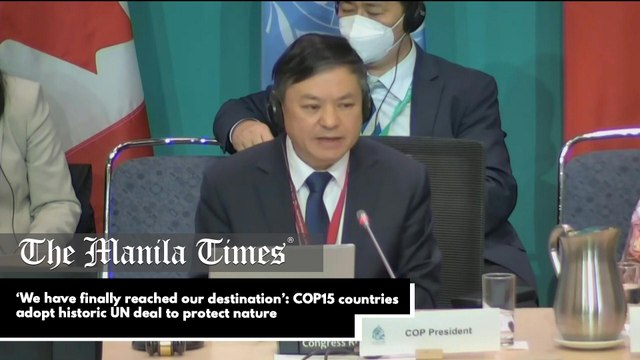 ‘We have finally reached our destination’: COP15 countries adopt historic UN deal to protect nature