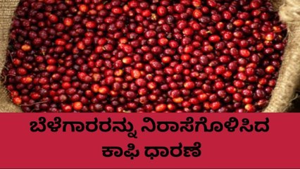 ಕೊಡಗು: ಇಳಿಕೆ ಕಂಡ ಕಾಫಿ ಧಾರಣೆ,ಬೆಳೆಗಾರರಲ್ಲಿ ಆತಂಕ