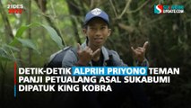 Detik-detik Alprih Priyono Teman Panji Petualang Asal Sukabumi Dipatuk King Kobra