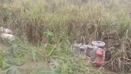 बिजनौर:कार की टक्कर से घोड़ा बग्गी 35 फीट गहरी खाई में गिरी
