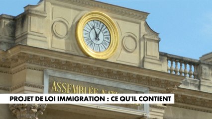 Projet de loi immigration : ce qu’il contient