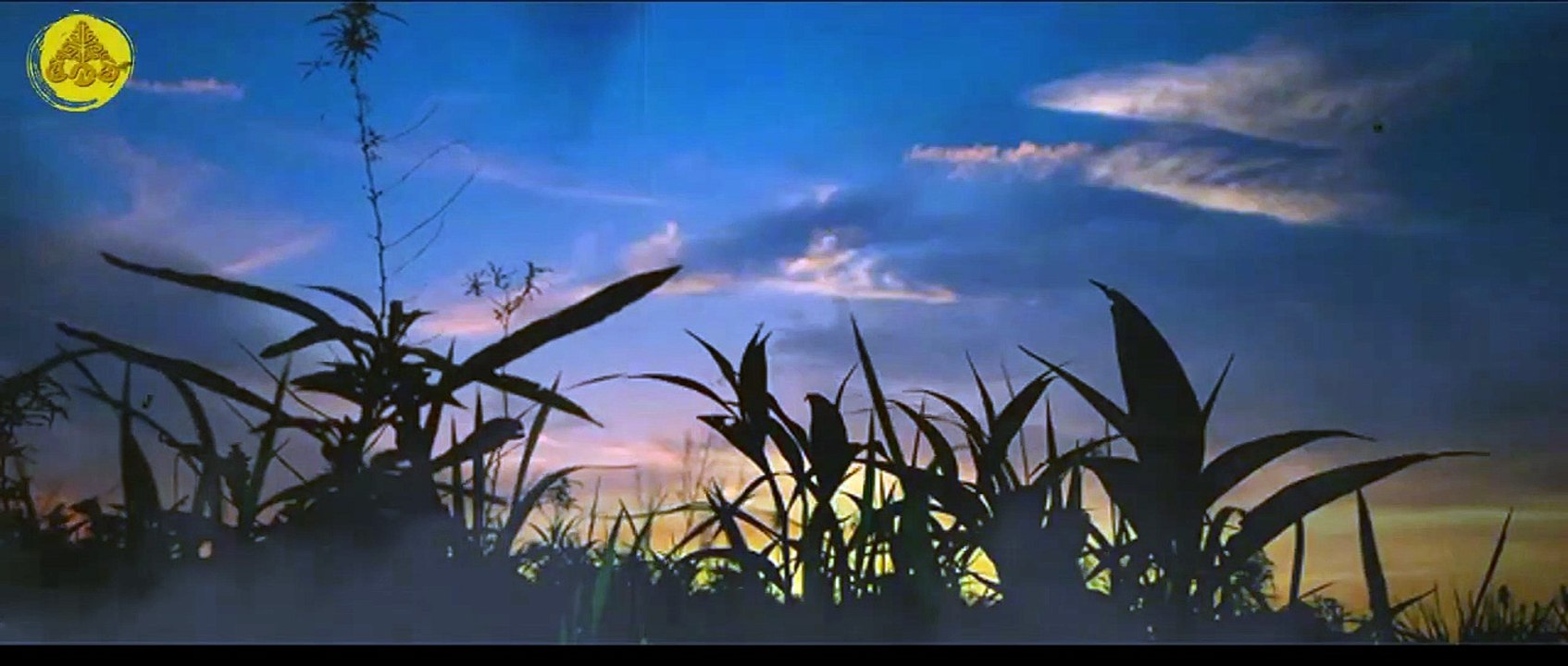 Kita Hanya Perencana ! ~Story WA Motivasi Hidup 30 detik __ Kata Kata Bijak