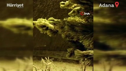 Adana’nın Tufanbeyli ilçesinde yoğun kar yağışı etkili oldu