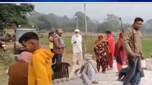 बिजनौर:आबादी में घुसकर बाघ ने भैंस को बनाया निवाला