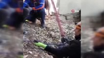 Van'da 20 metrelik kuyuya düşen 2 yavru köpek AFAD ekipleri tarafından kurtarıldı