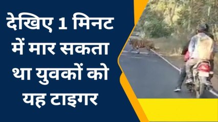 वायरल : हाइवे पर अचानक आ गया टाइगर, ऐसे बची बाइक सवारों की जान