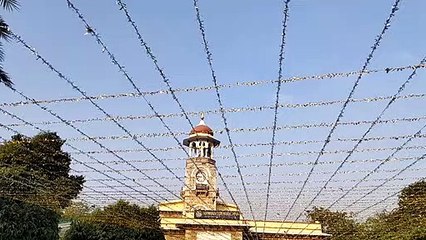 क्रिसमस का उल्लास, सजे गिरजाघर