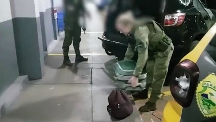 Cão policial encontra mais de 10kg de maconha em mala de passageiro de ônibus